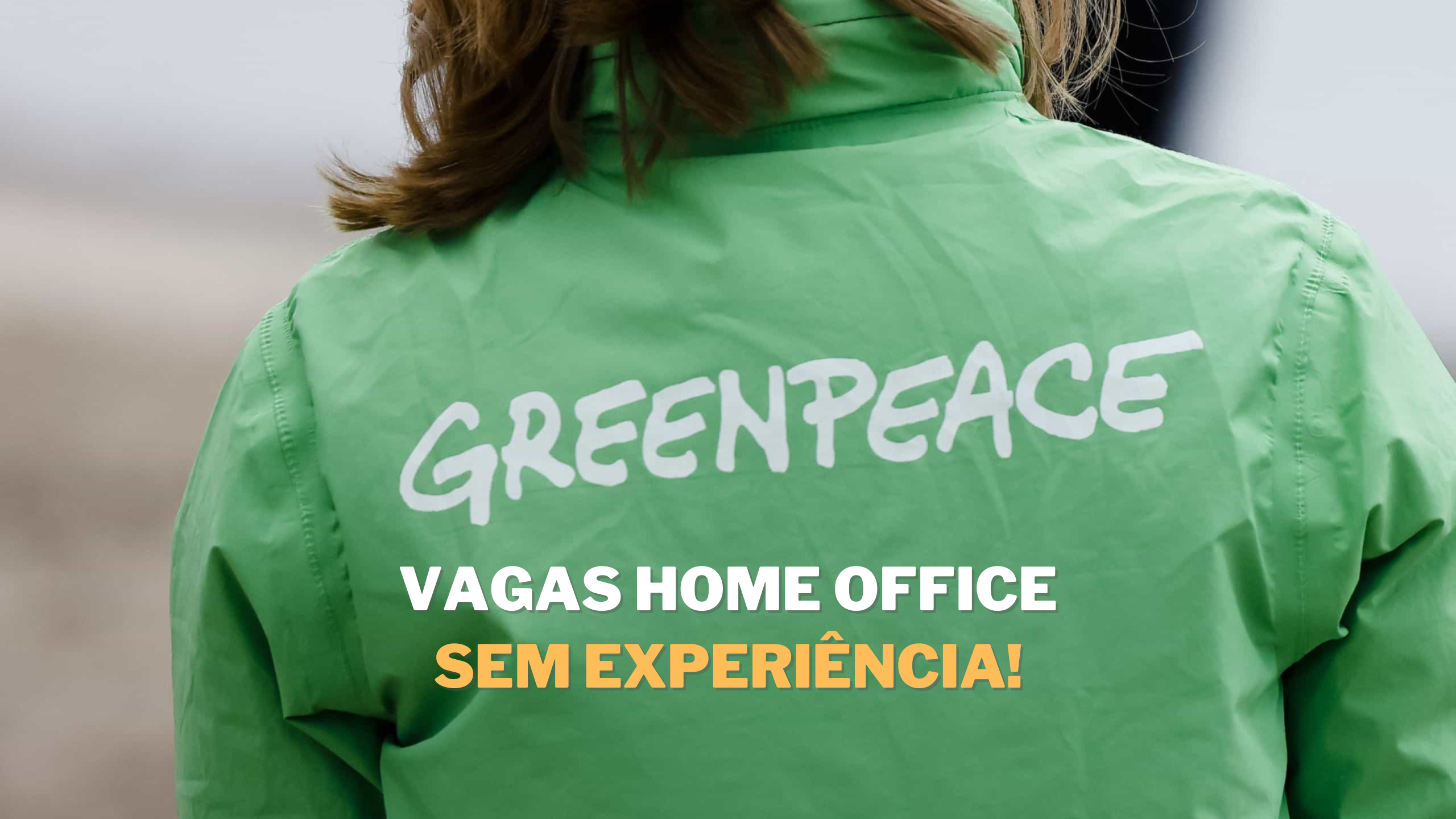 Greenpeace abre 10 vagas de emprego em 100% Home Office e não é necessário ter experiência