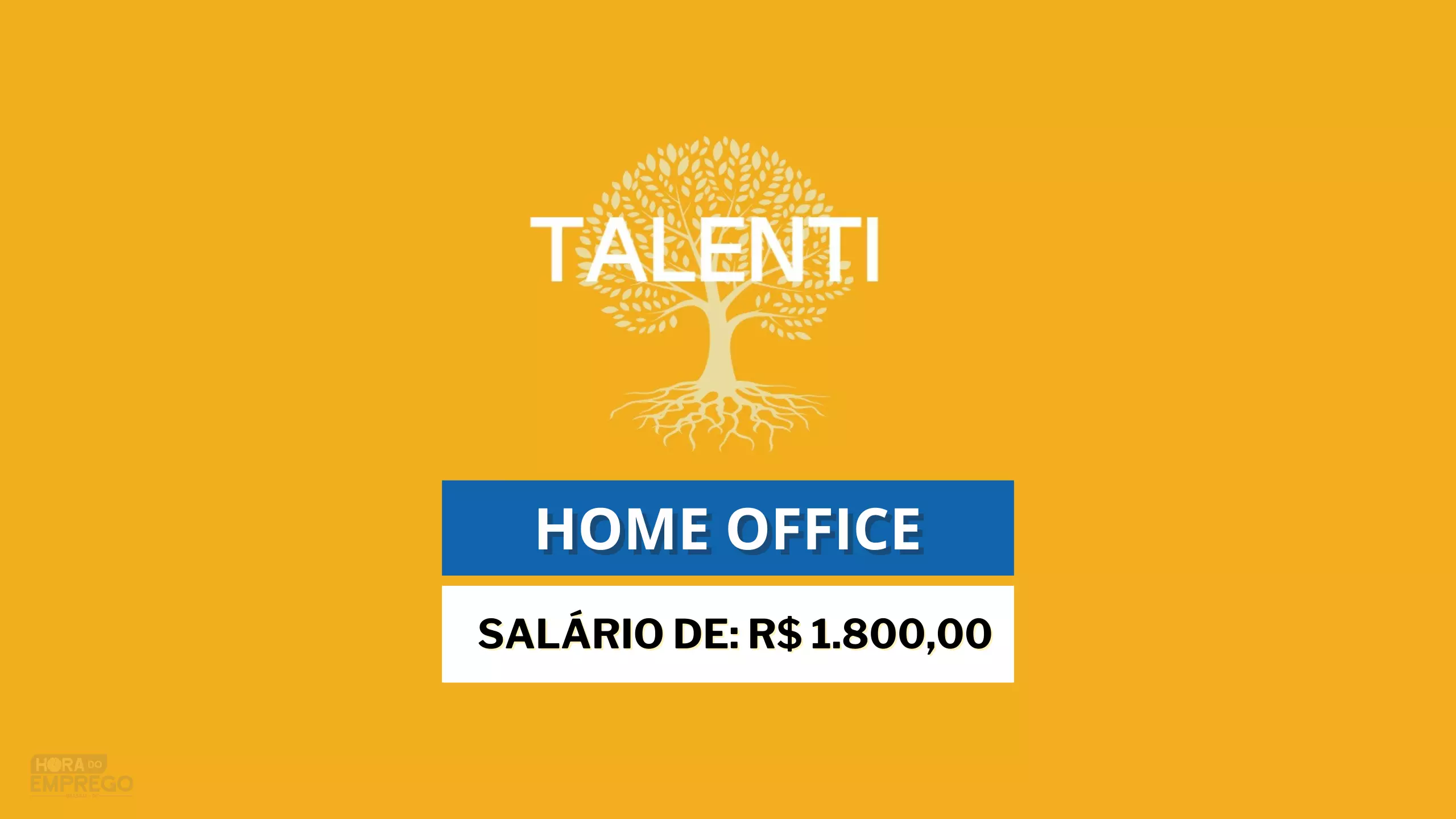 TALENTI abre vaga 100% HOME OFFICE para Assistente Financeiro com salário de R$ 1.800,00